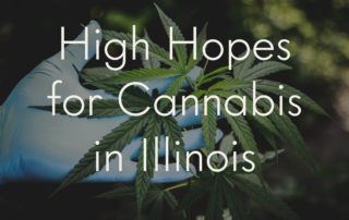 blue glove holding cannabis leaf, overlaid with text reading High Hopes for Cannabis in Illinois