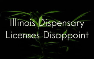 illinois dispensary licenses disappoint