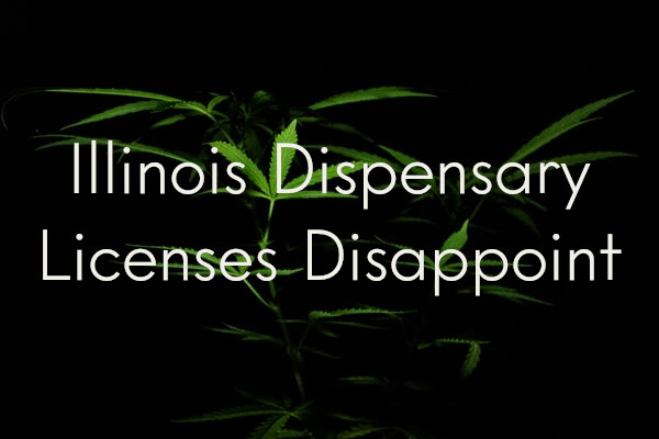 illinois dispensary licenses disappoint