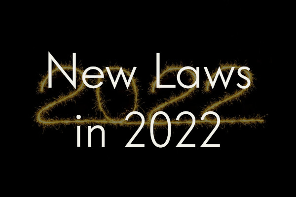 The number "2022" written in thin bright fire on a black background, overlaid with the title of the blog post: "New Laws in 2022"